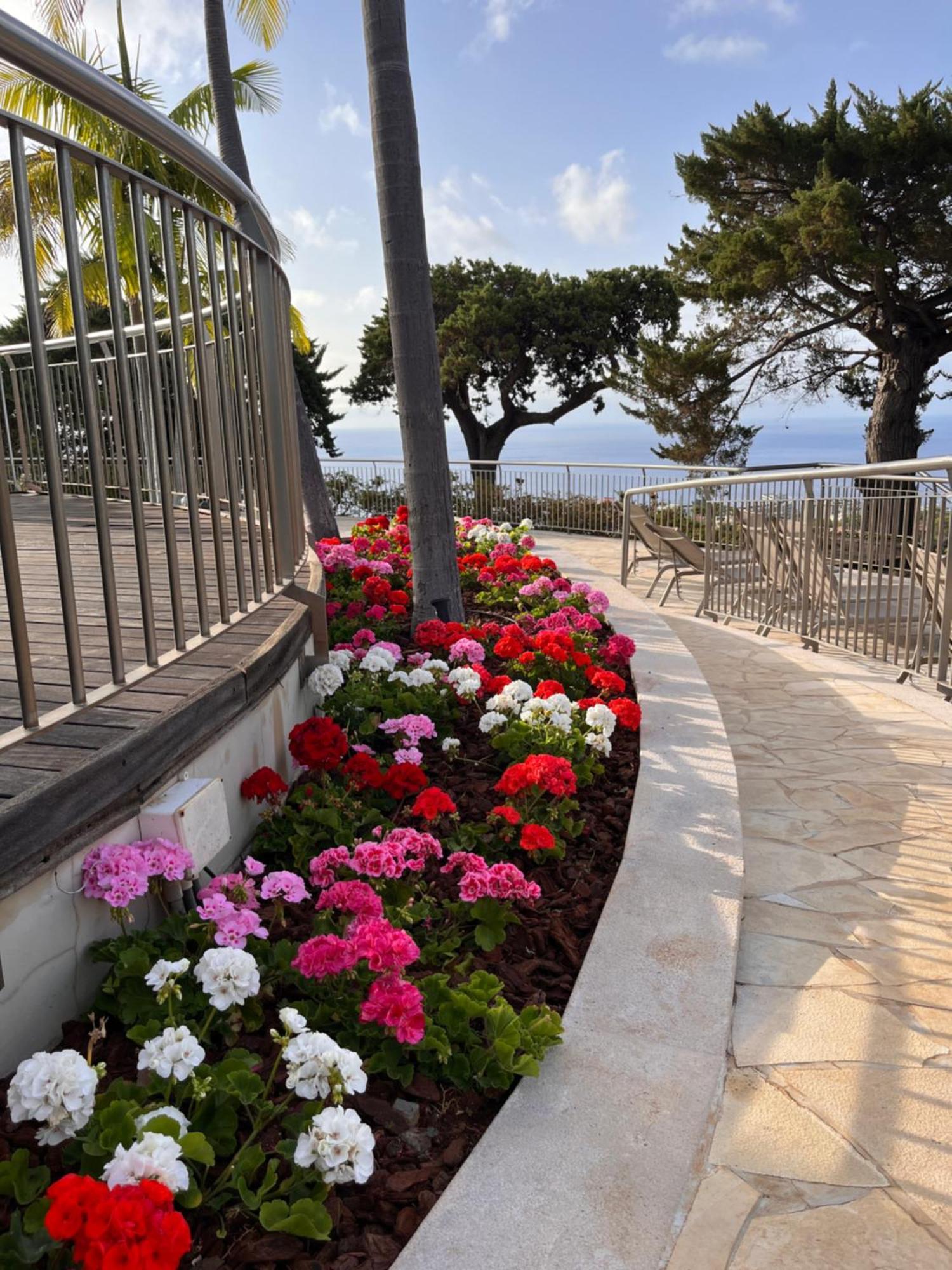 Hotel Quinta Funchal Gardens - Adults Only Zewnętrze zdjęcie